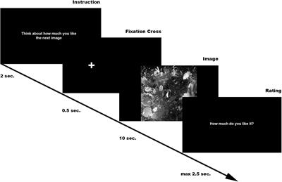 Haptic Aesthetics and Bodily Properties of Ori Gersht’s Digital Art: A Behavioral and Eye-Tracking Study